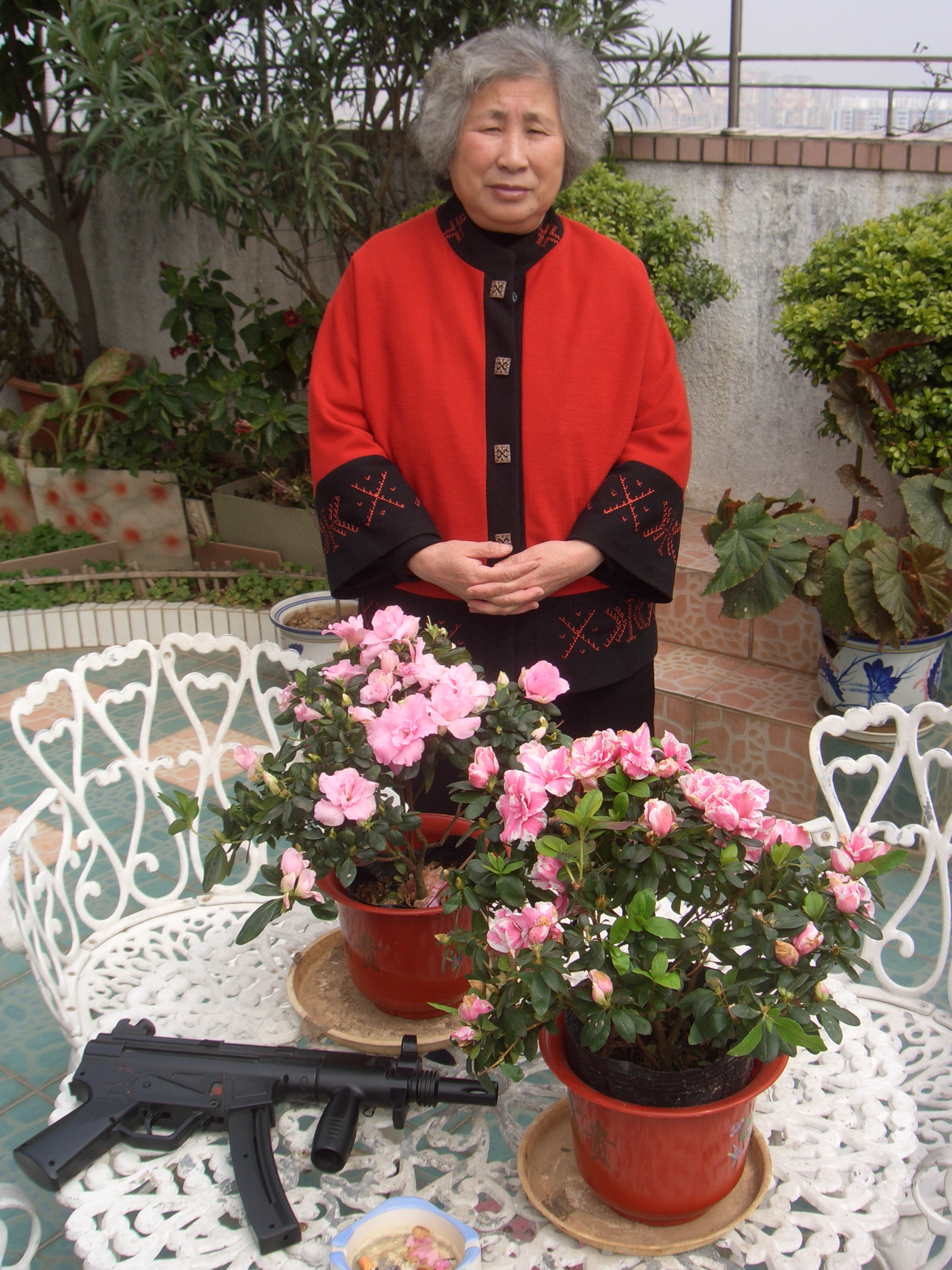 照片2008年的母亲